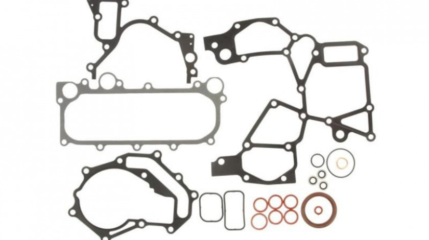 Set garnituri, carter Nissan TERRANO Mk II (R20) 1992-2016 #2 54125400