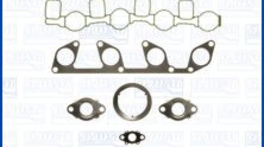 Set garnituri, chiulasa (53029200 AJUSA) SEAT,SKODA,VW