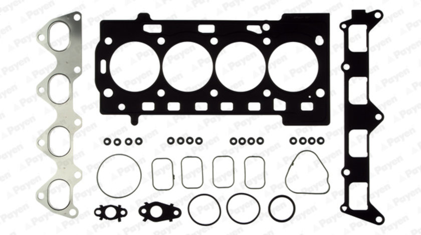 Set garnituri, chiulasa (CH5960 PAYEN) AUDI,SEAT,SKODA,VW