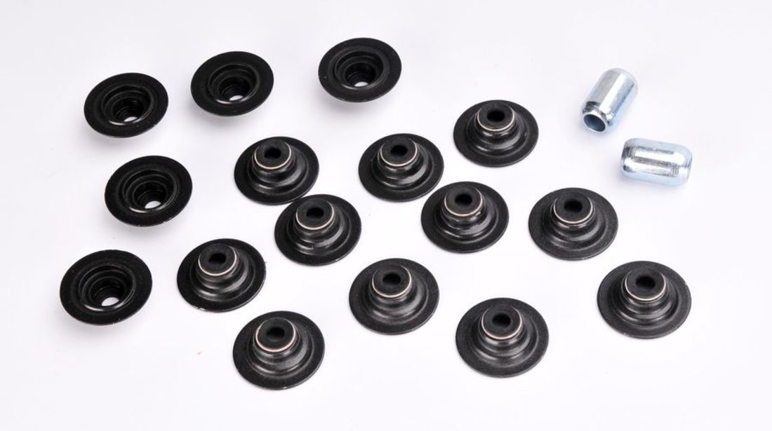 Set garnituri, chiulasa LAND ROVER FREELANDER; MG MGF, MG TF, MG ZR, MG ZS, MG ZT; MINELLI TF; METRO 100, 200,