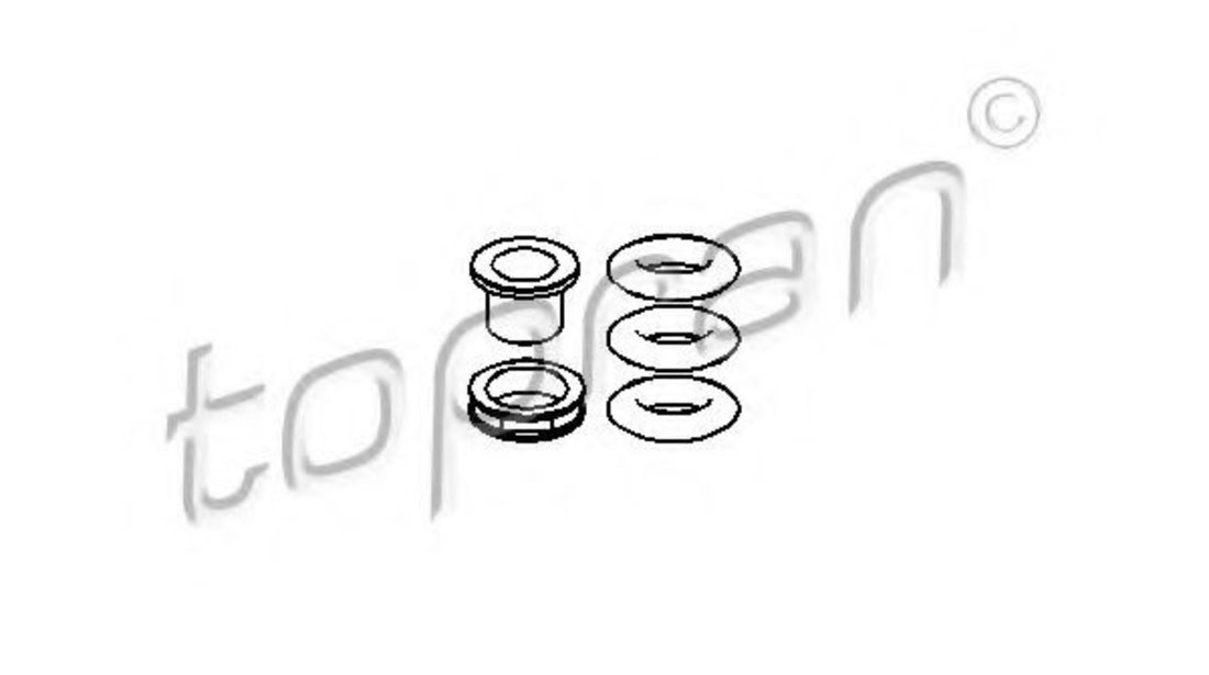 Set garnituri etansare, injectoare SEAT CORDOBA Vario (6K5) (1996 - 1999) TOPRAN 100 591 piesa NOUA