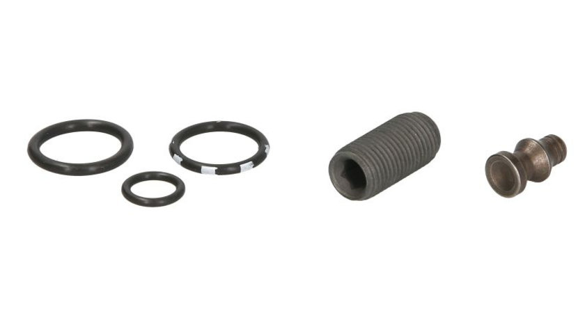 Set garnituri etansare pompa injectie AUDI A3, A4, A6; SEAT ALTEA, ALTEA XL, LEON, TOLEDO III; SKODA OCTAVIA II, SUPERB II; VW GOLF PLUS, GOLF V, JETTA III, TOURAN 2.0 d dupa 2003