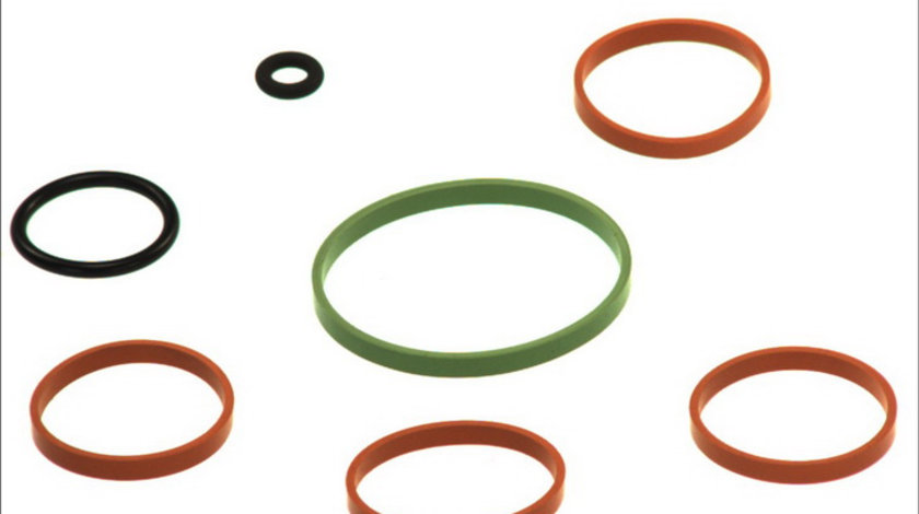 Set garnituri galerie admisie ALFA ROMEO MITO; FIAT 500, 500 C, DOBLO, DOBLO CARGO, FIORINO, GRANDE PUNTO, IDEA, LINEA, PANDA, PUNTO, PUNTO EVO, QUBO; FORD KA; LANCIA MUSA, YPSILON 1.2-1.4LPG dupa 200