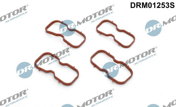 Set garnituri, galerie admisie (DRM01253S DRM) NISSAN,OPEL,RENAULT