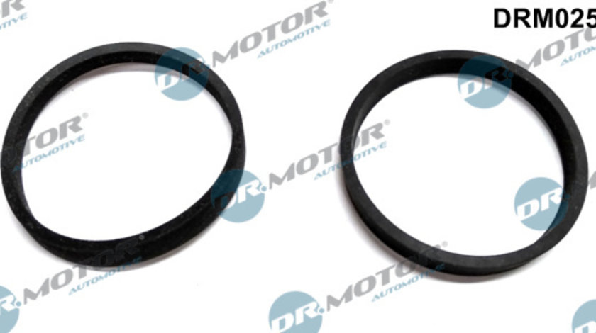 Set garnituri, galerie admisie (DRM0259S DRM) Citroen,DACIA,DS,FIAT,FORD,LAND ROVER,MAZDA,MERCEDES-BENZ,MITSUBISHI,NISSAN,PEUGEOT,RENAULT,TOYOTA,VOLVO