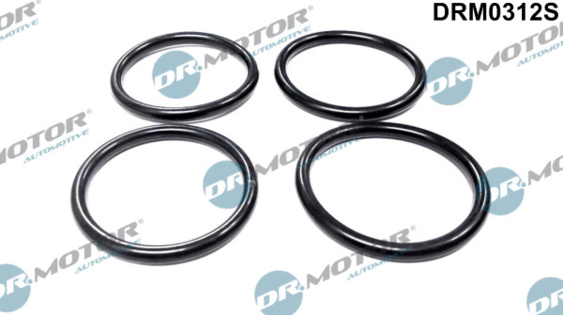 Set garnituri, galerie admisie (DRM0312S DRM) Citroen,FIAT,PEUGEOT