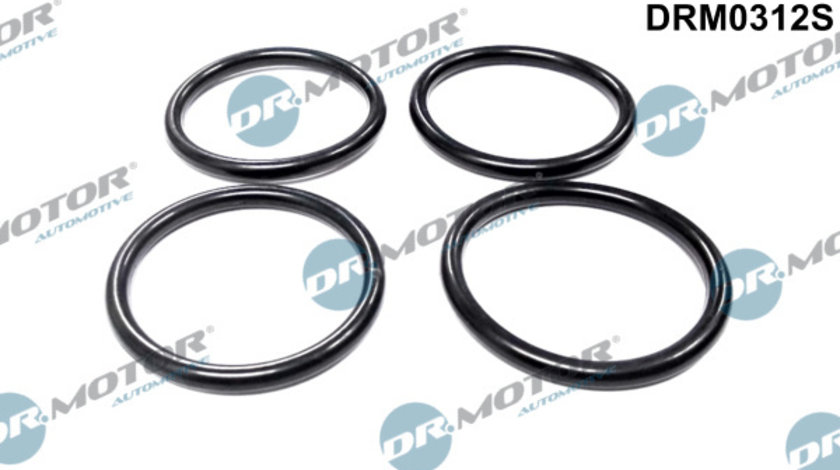 Set garnituri, galerie admisie (DRM0312S DRM) Citroen,FIAT,PEUGEOT