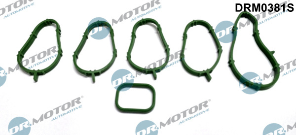 Set garnituri, galerie admisie (DRM0381S DRM) FIAT,LANCIA