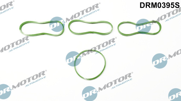 Set garnituri, galerie admisie (DRM0395S DRM) FORD