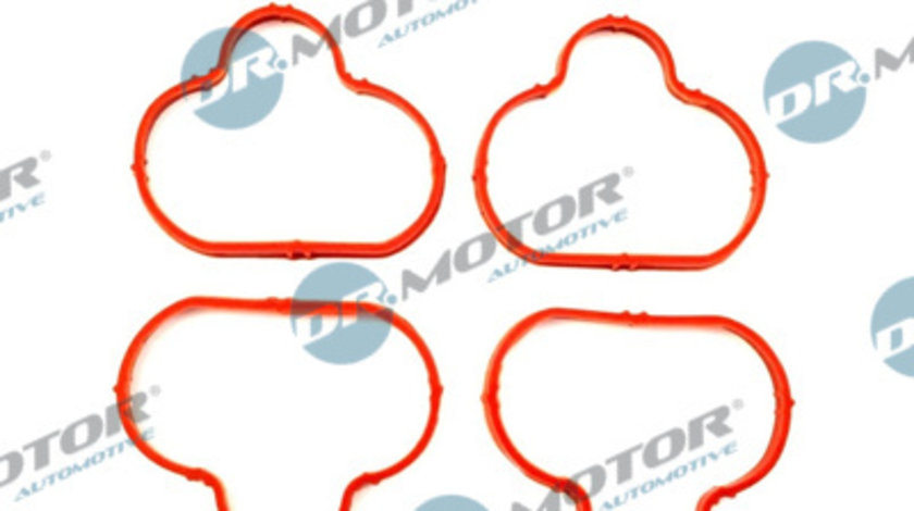 Set garnituri, galerie admisie (DRM087S DRM) Citroen,FIAT,LANCIA,PEUGEOT