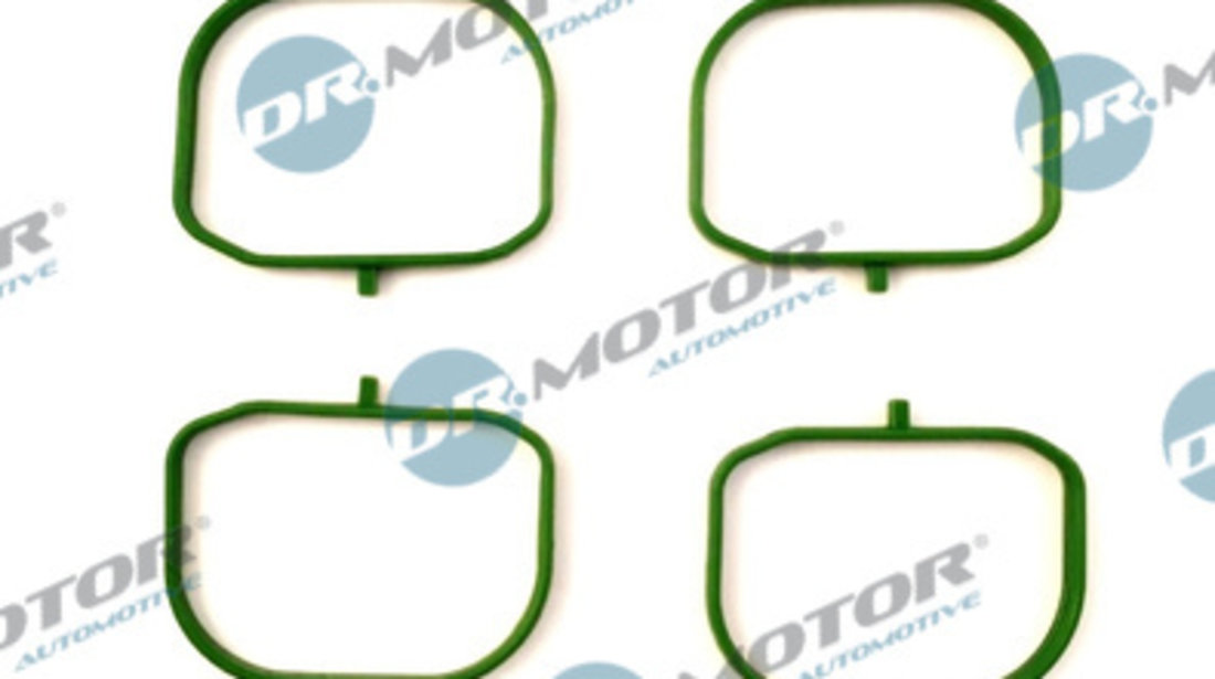 Set garnituri, galerie admisie (DRM088S DRM) FORD,MAZDA,MORGAN,VOLVO