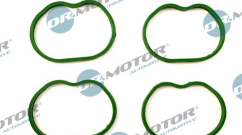 Set garnituri, galerie admisie (DRM089S DRM) FORD,MAZDA,VOLVO