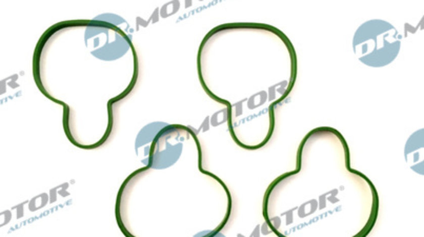 Set garnituri, galerie admisie (DRM090S DRM) FORD,MAZDA