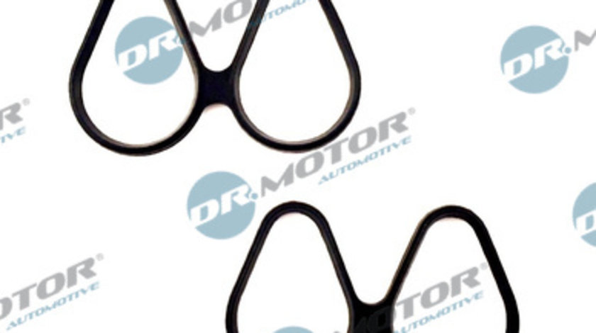 Set garnituri, galerie admisie (DRM093S DRM) NISSAN,RENAULT