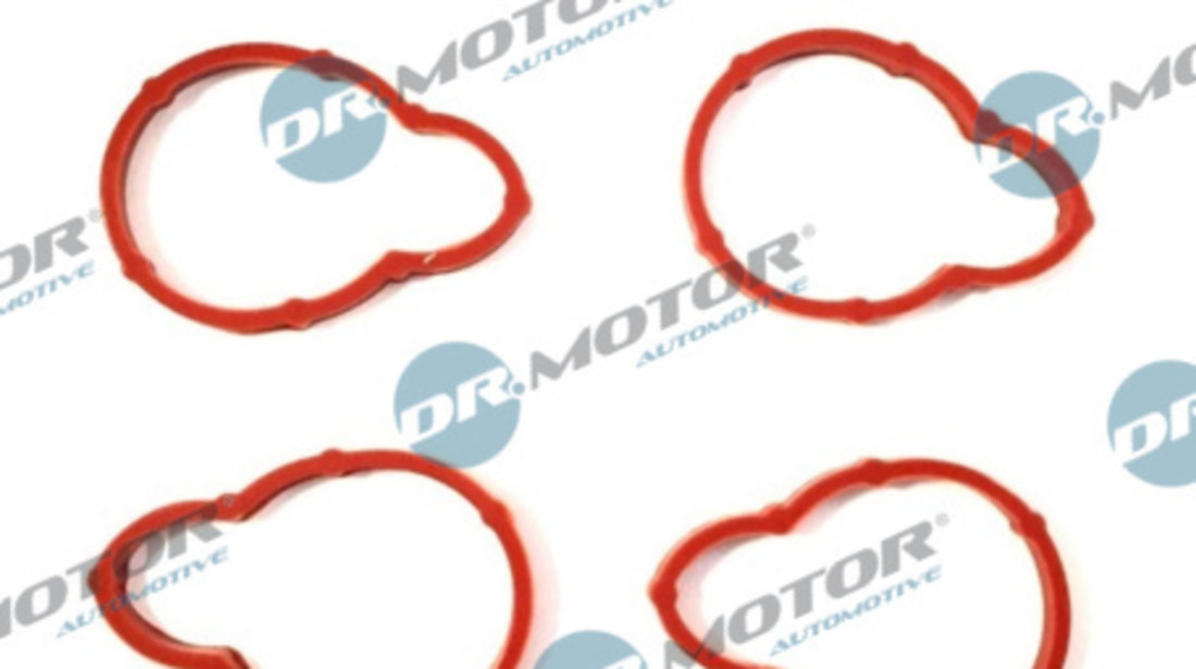 Set garnituri, galerie admisie (DRM096S DRM) DACIA,RENAULT