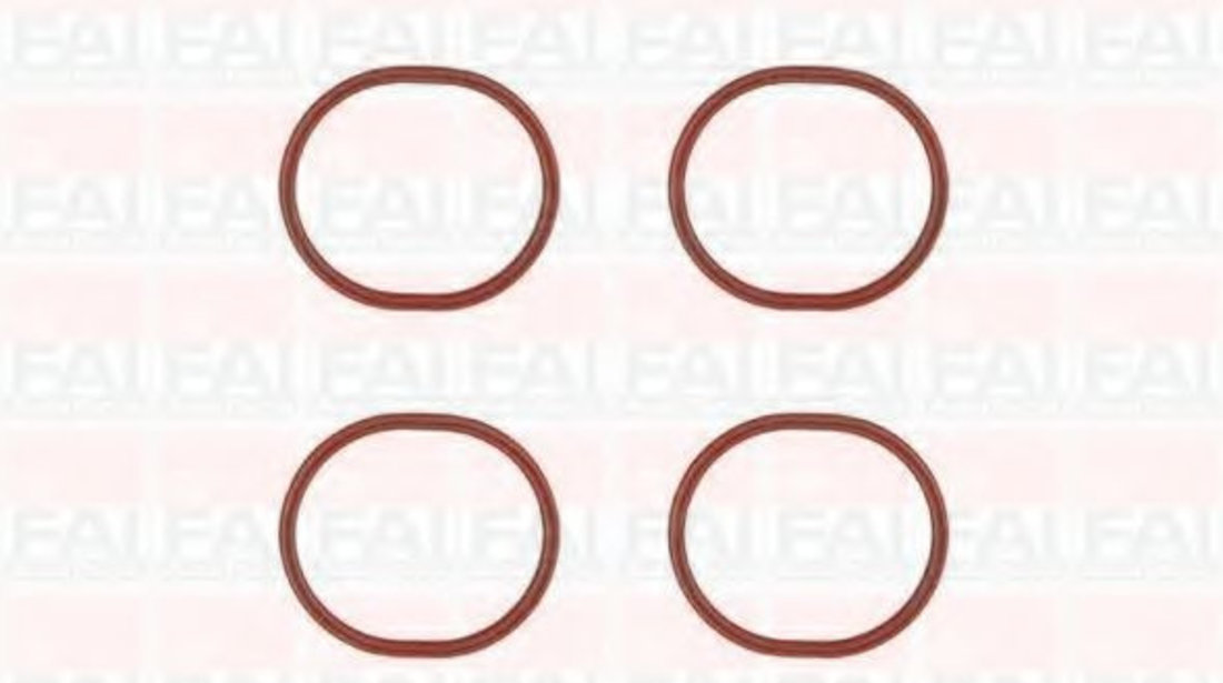 Set garnituri, galerie admisie FIAT SCUDO (272, 270) (2007 - 2016) FAI AutoParts IM1357 piesa NOUA