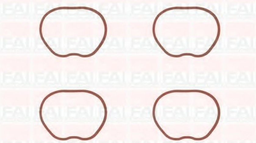 Set garnituri, galerie admisie FORD FOCUS II Combi (DA) (2004 - 2012) FAI AutoParts IM1008 piesa NOUA