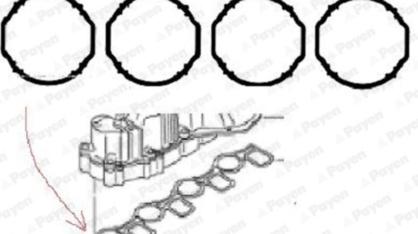 Set garnituri, galerie admisie (HA5069 PAYEN) AUDI,SEAT,SKODA,VW