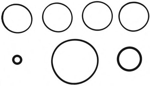 Set garnituri, galerie admisie LANCIA YPSILON (843) (2003 - 2011) VICTOR REINZ 11-37546-01 piesa NOU...