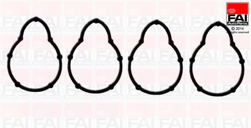 Set garnituri, galerie admisie RENAULT SYMBOL I (LB0/1/2) (1998 - 2008) FAI AutoParts IM1051A piesa ...