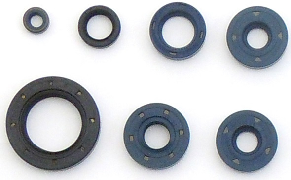 Set Garnituri Motor Moto Athena Can-am Bombardier Ds 650 2000 P400070400001