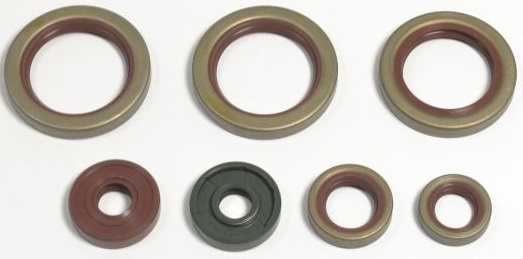 Set Garnituri Motor Moto Athena KTM RFR690 2008 P400270400038