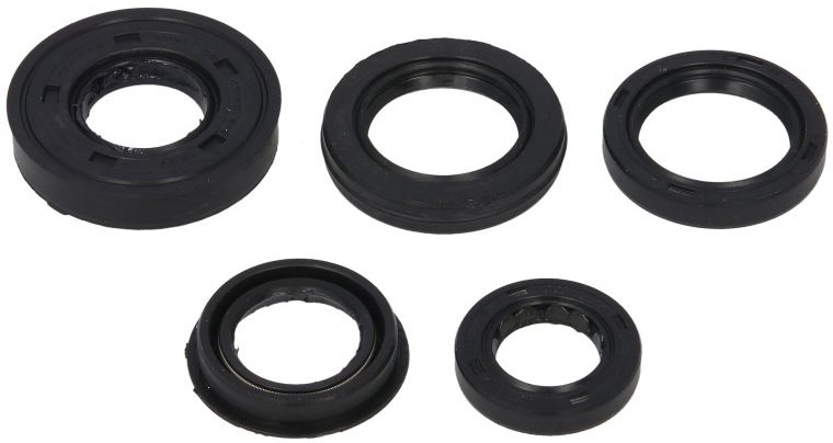 Set Garnituri Motor Moto Winderosa Arctic Cat Y-6 50 2004-2006 W822217