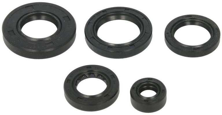 Set Garnituri Motor Moto Winderosa Arctic Cat Arctic Cat, TRV 650 2005-2011 W822343