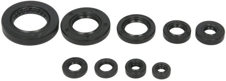 Set Garnituri Motor Moto Winderosa Honda TRX 420 / 500 2009-2018 W822354
