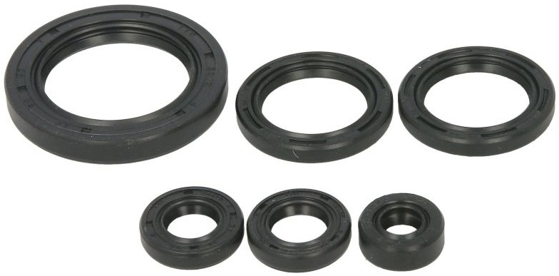 Set Garnituri Motor Moto Winderosa Honda TRX 650 / 680 2003-2020 W822978
