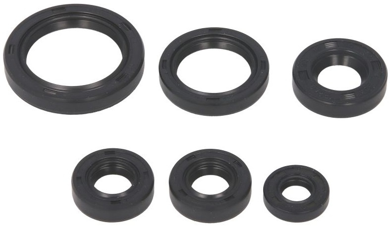 Set Garnituri Motor Moto Winderosa Kawasaki KEF 300 1995-2003 W822241