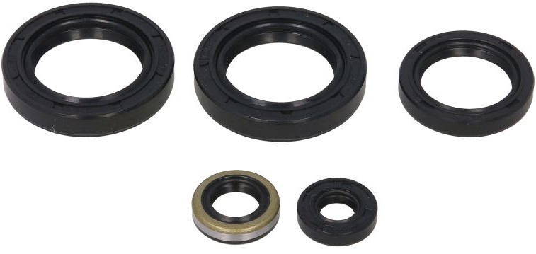 Set Garnituri Motor Moto Winderosa Kawasaki KVF 300 1999-2002 W822244