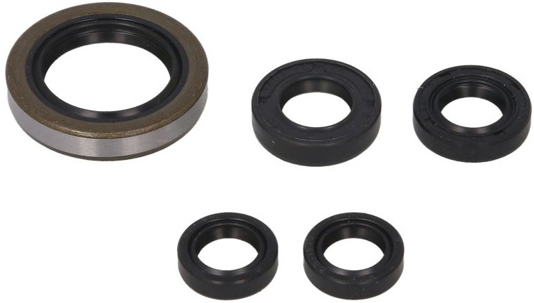 Set Garnituri Motor Moto Winderosa Polaris Outlaw, Predator 500 2003-2007 W822249