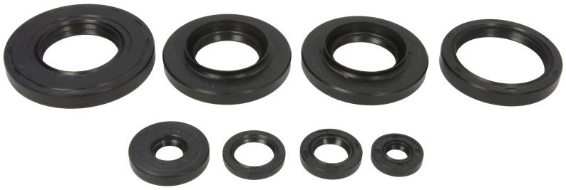 Set Garnituri Motor Moto Winderosa W822349