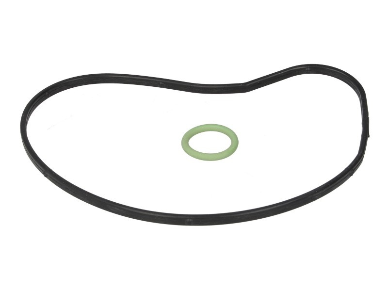 Set garnituri, pompa apa BMW X5 (E70) (2007 - 2013) ELRING 359.200 piesa NOUA