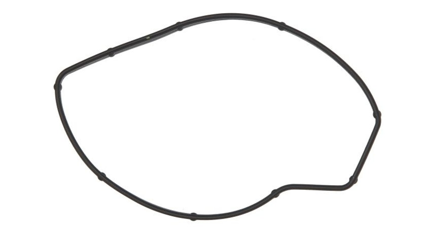 Set garnituri pompa apa PORSCHE CAYENNE, MACAN, PANAMERA 3.0 3.6 4.8 dupa 2007