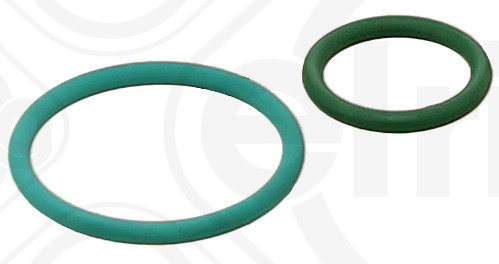 Set garnituri, pompa injectie (455290 ELR) Citroen,DS,FIAT,FORD,FORD AUSTRALIA,FORD USA,OPEL,PEUGEOT...