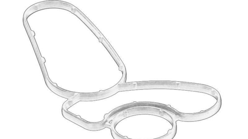 Set garnituri termoflot baza garnitura BMW Seria 5 (E60), 5 (E61), 7 (E65, E66, E67) 3.0 d intre 2002-2010