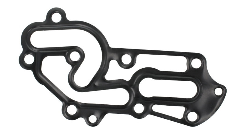Set garnituri termoflot IVECO DAILY CITYS, DAILY III, DAILY IV, DAILY LINE, DAILY TOURYS, DAILY V, DAILY VI, MASSIF; CITROEN JUMPER; FIAT DUCATO; PEUGEOT BOXER; UAZ PATRIOT F1AE0481A-FPT dupa 2002