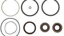 Set garnituri, transmisie manuala ZF CAMIOANE (MAN...
