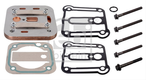 Set Garnituri Ventil Lamele Febi Man 173410