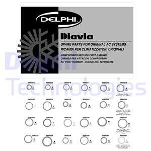 Set inel etansare, sistem climatizare (TSP0695016 DLP)