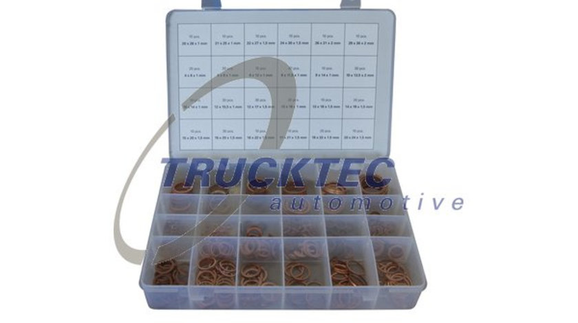 Set inele de etansare (8899003 TRUCKTEC)