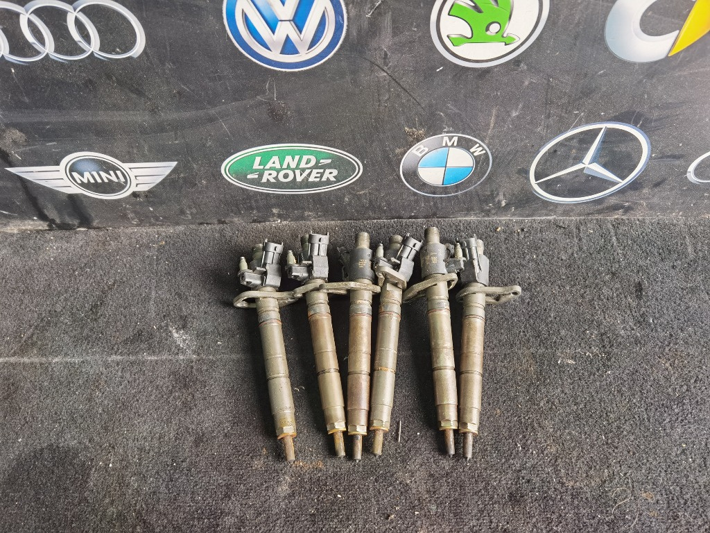 Set injectoare Range Rover Sport 306dt FW93-9K546-AB