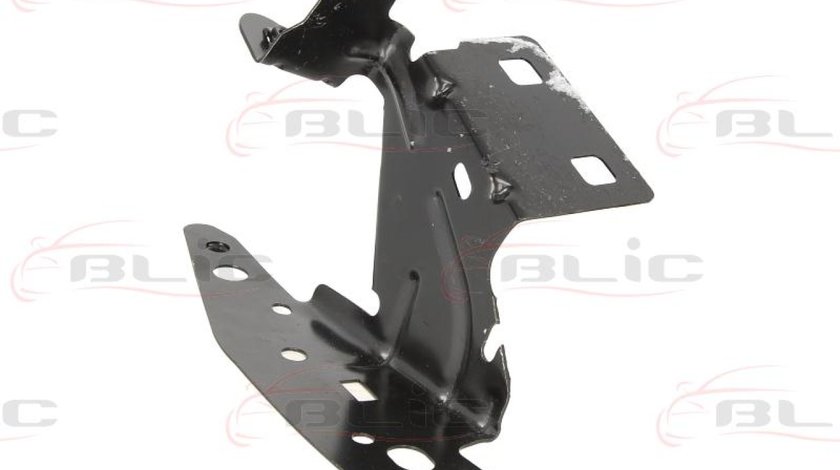 Set montaj aripa laterala CITROËN C3 II Producator BLIC 7802-03-0531383P