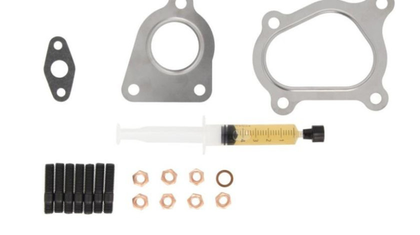 Set montaj, turbocompresor Opel VIVARO platou / sasiu (E7) 2006-2016 #2 7627850001