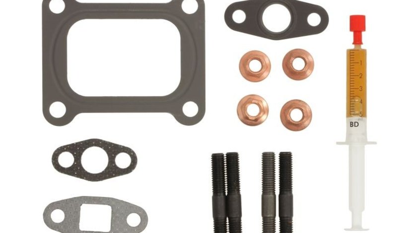 Set montaj, turbocompresor RENAULT TRUCKS KERAX MAHLE 038 TA 18536 000