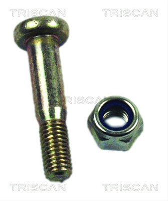 Set Montare, Legatura Triscan Ford 8500 16860