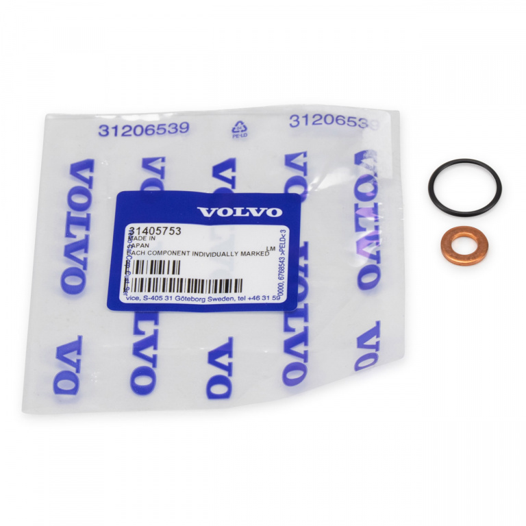 Set O-Ring + Saiba Injector Oe Volvo 31405753