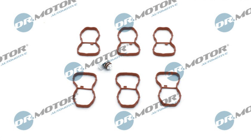 Set pentru reparat, modul ?eav? de aspira?ie (DRM01241SL DRM) BMW